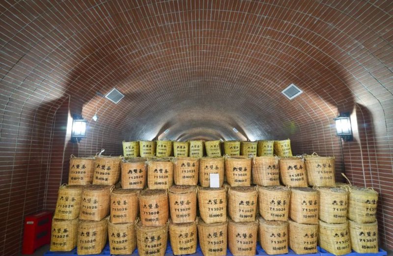 茶叶的功效与作用,究竟有哪些实实在在的好处?